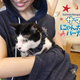 Illustration for article titled Embrace Your Inner Crazy Cat Person With This Kitty-Carrying Hoodie